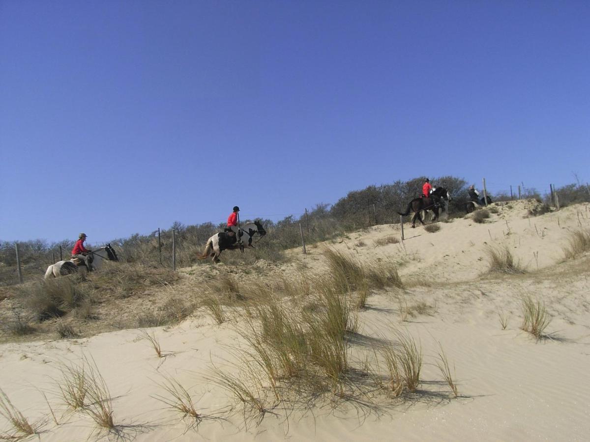 'T Lange Lis Apartment De Panne Bagian luar foto